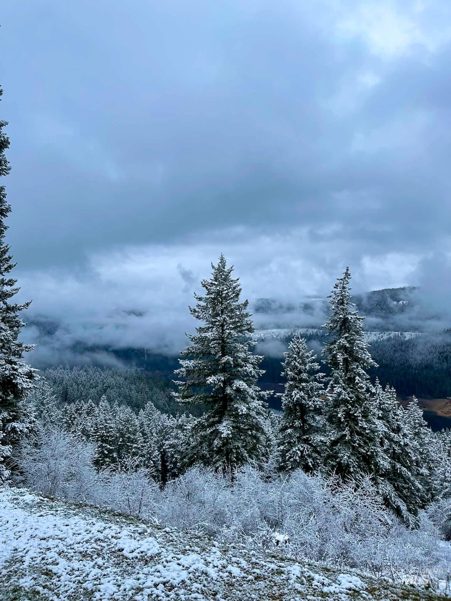 237 Old Dent Road Orofino, ID 83544 - Photo 47 of 48 Snowy view with a forest view