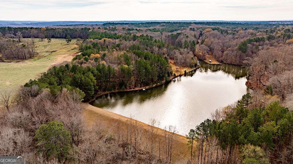 1115 Black Ike Road Watkinsville, GA 30677 - Photo 14 of 52 a view of a lake in middle of forest
