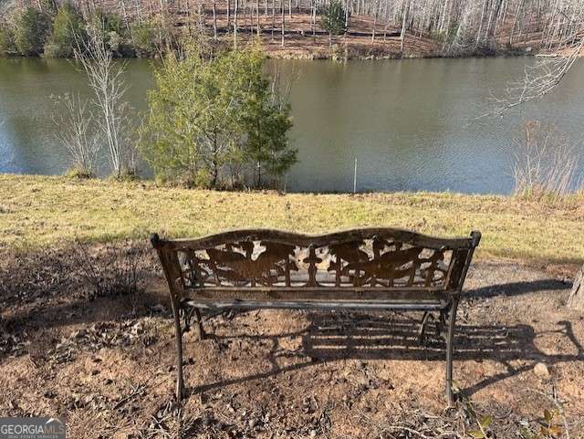 1115 Black Ike Road Watkinsville, GA 30677 - Photo 17 of 52