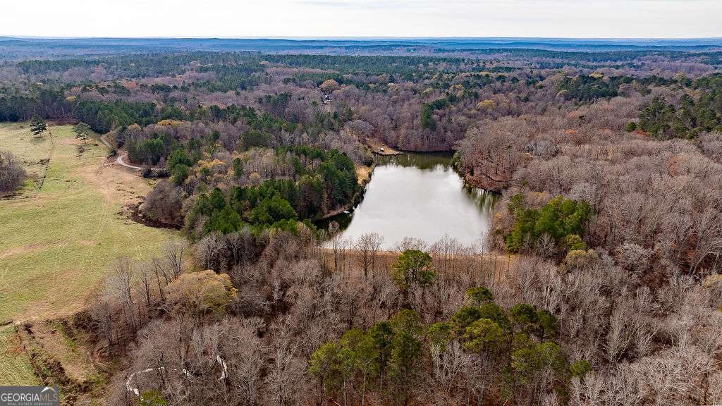 1115 Black Ike Road Watkinsville, GA 30677 - Photo 20 of 52 a view of a yard
