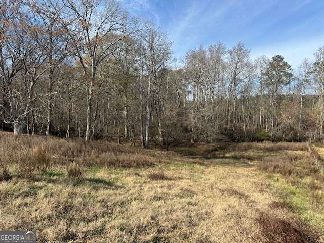 1115 Black Ike Road Watkinsville, GA 30677 - Photo 34 of 52 a view of a yard with trees