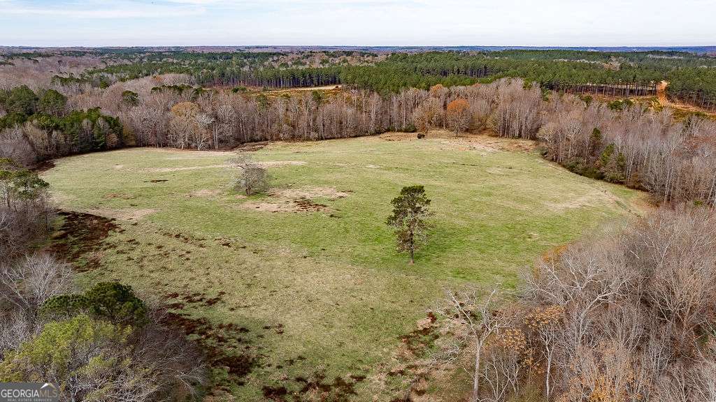 1115 Black Ike Road Watkinsville, GA 30677 - Photo 40 of 52