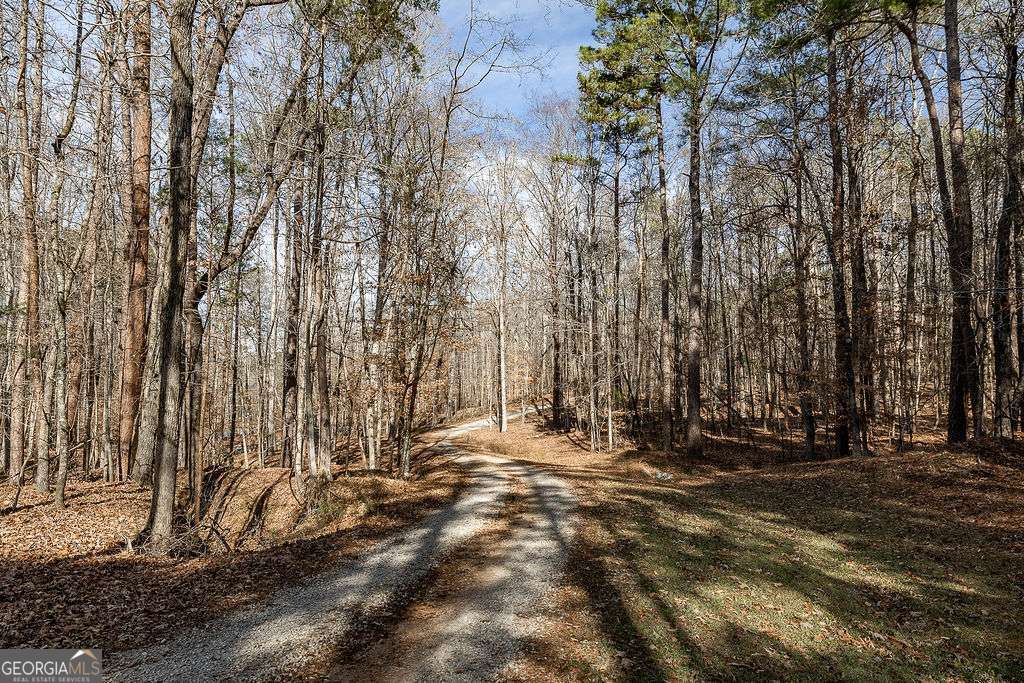 1115 Black Ike Road Watkinsville, GA 30677 - Photo 4 of 52