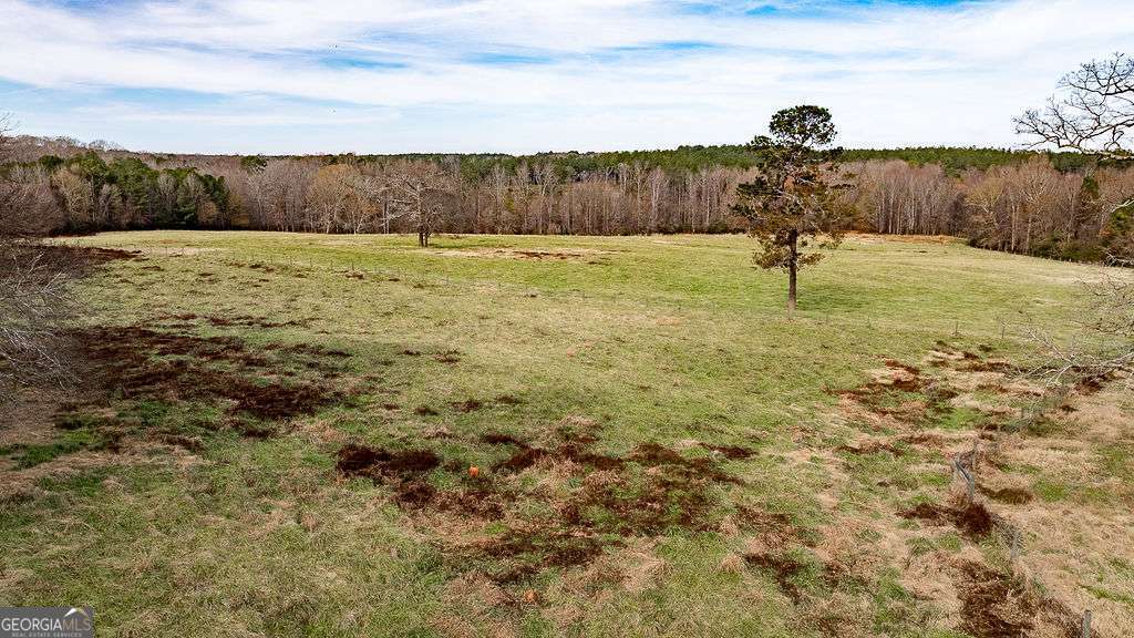 1115 Black Ike Road Watkinsville, GA 30677 - Photo 42 of 52 a view of a yard