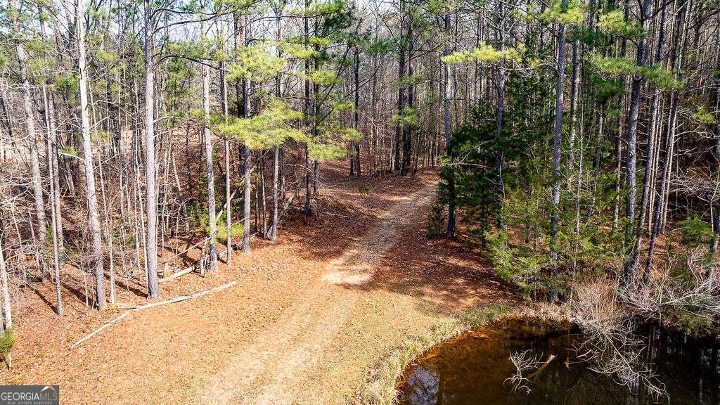 1115 Black Ike Road Watkinsville, GA 30677 - Photo 45 of 52