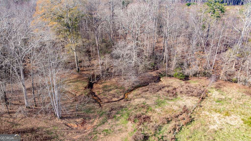 1115 Black Ike Road Watkinsville, GA 30677 - Photo 46 of 52 a view of a yard with lots of bushes