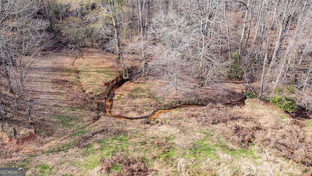 1115 Black Ike Road Watkinsville, GA 30677 - Photo 47 of 52 a view of a yard with green space
