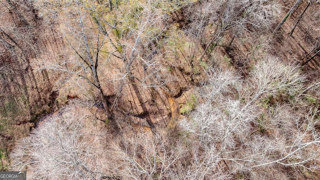 1115 Black Ike Road Watkinsville, GA 30677 - Photo 48 of 52