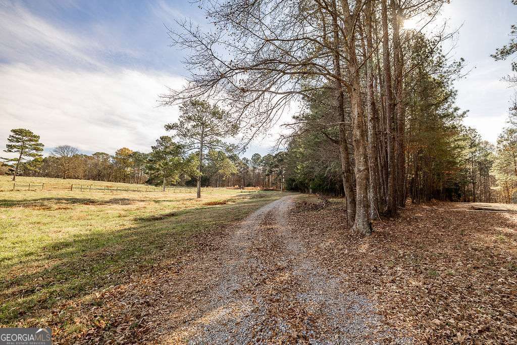 1115 Black Ike Road Watkinsville, GA 30677 - Photo 49 of 52 a view of a yard with a tree