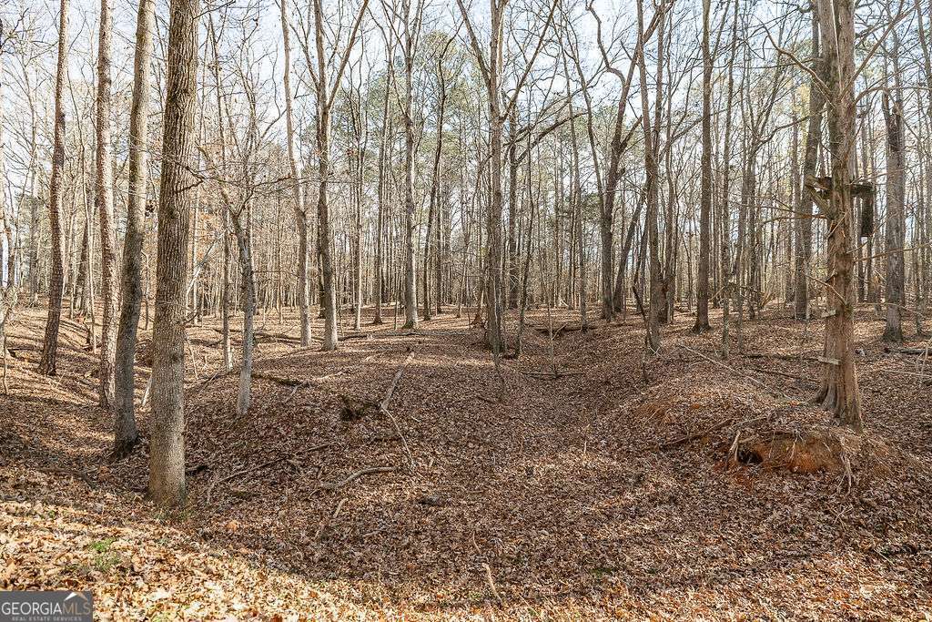 1115 Black Ike Road Watkinsville, GA 30677 - Photo 50 of 52 a view of outdoor space with trees