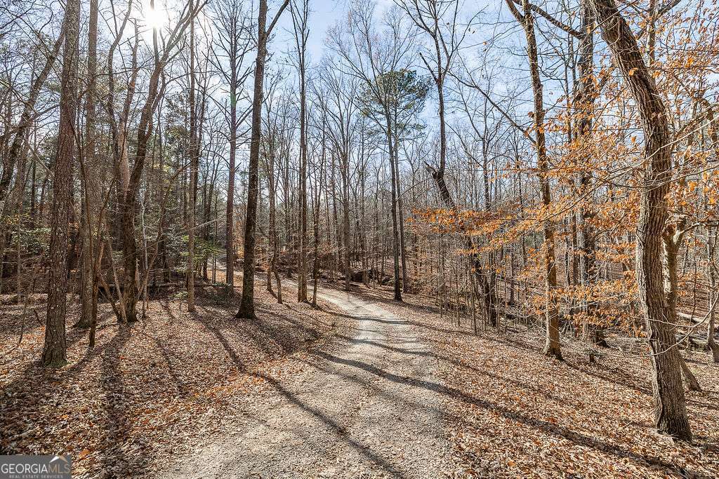1115 Black Ike Road Watkinsville, GA 30677 - Photo 5 of 52 a view of a yard with trees
