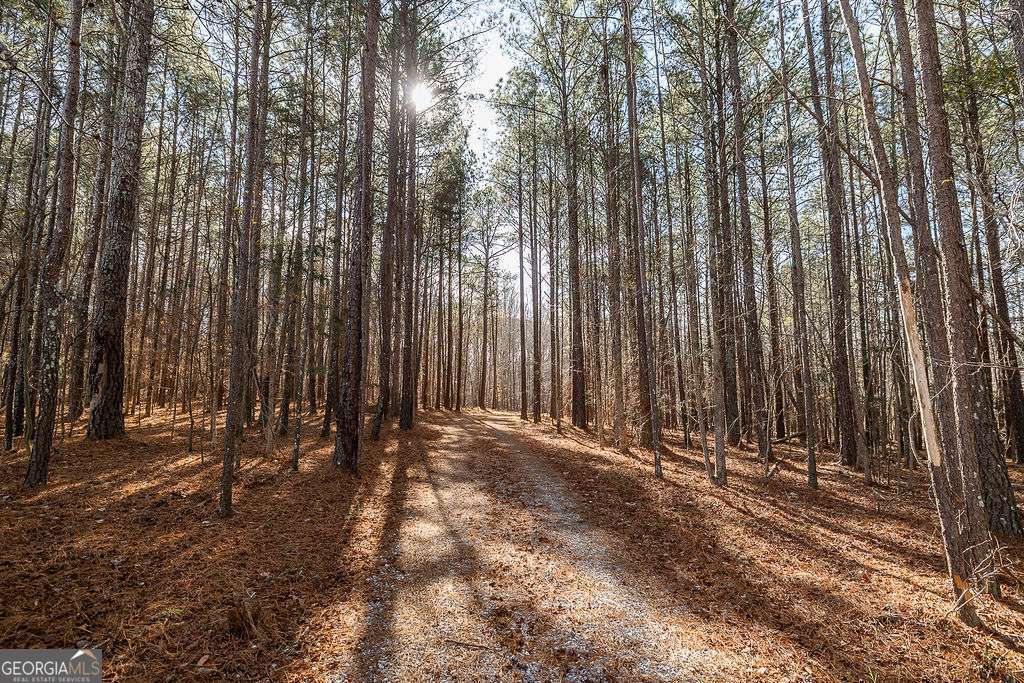 1115 Black Ike Road Watkinsville, GA 30677 - Photo 51 of 52