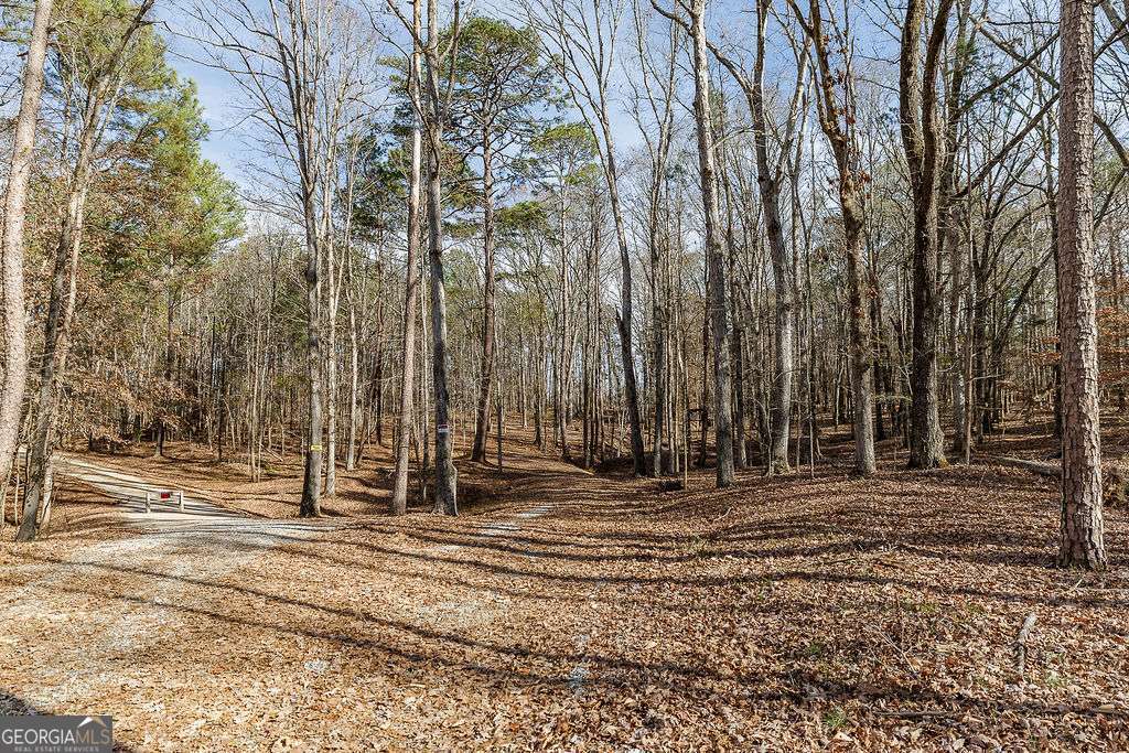 1115 Black Ike Road Watkinsville, GA 30677 - Photo 52 of 52