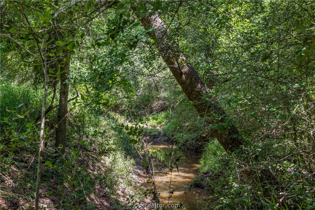 Tbd Weber Road Bryan, TX 77808 - Photo 21 of 43