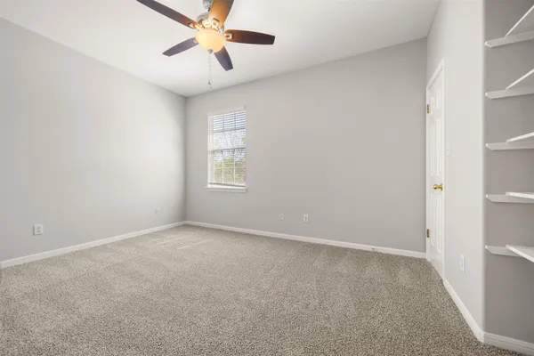 a view of a yard with a large tree