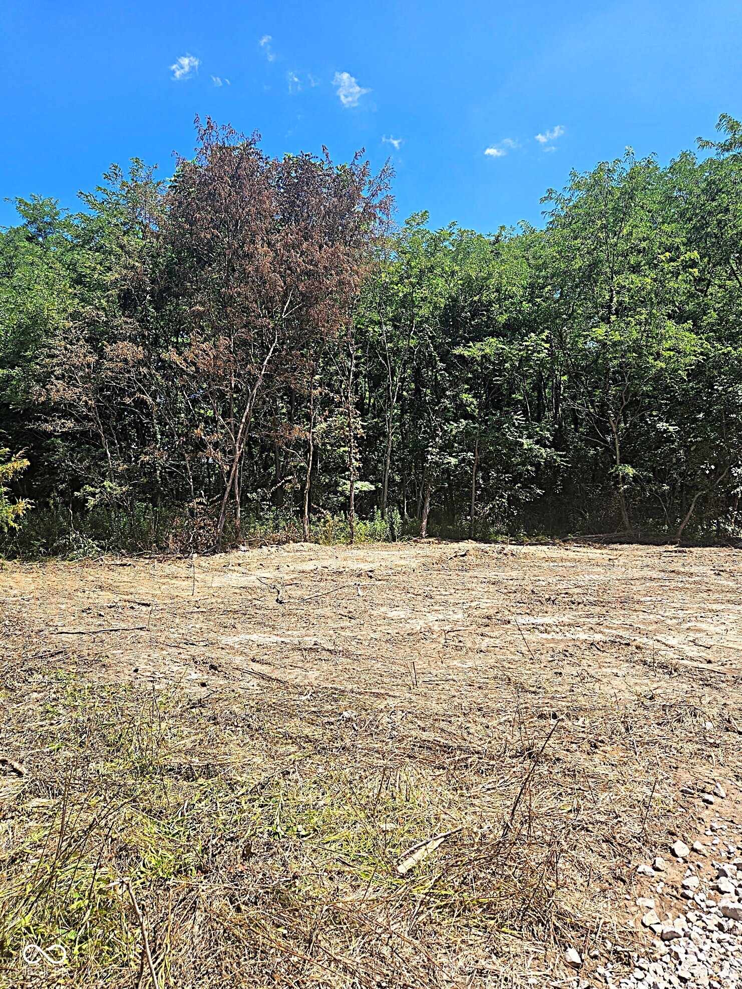 0 Arend Road Martinsville, IN 46151 - Photo 4 of 8 Gallery Image 4