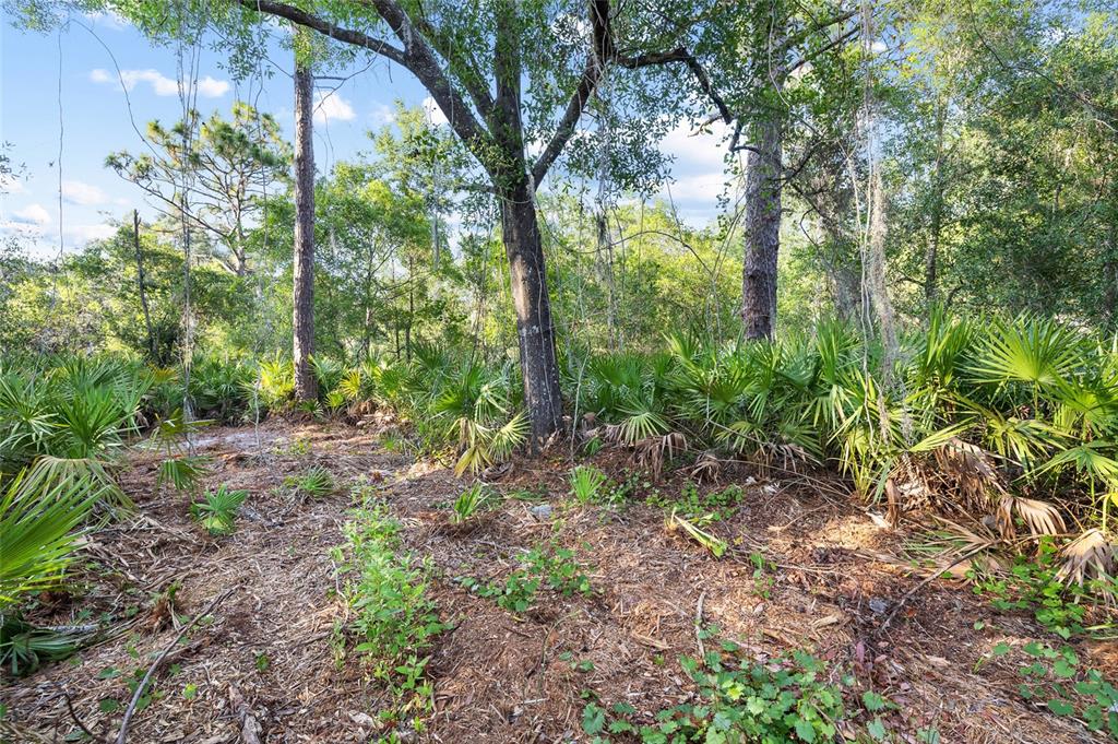 Lake Le Clare Road Lutz, FL 33558 - Photo 17 of 17