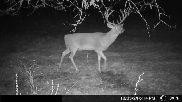 Northwest Waller Road Richmond, MO 64085 - Photo 60 of 80