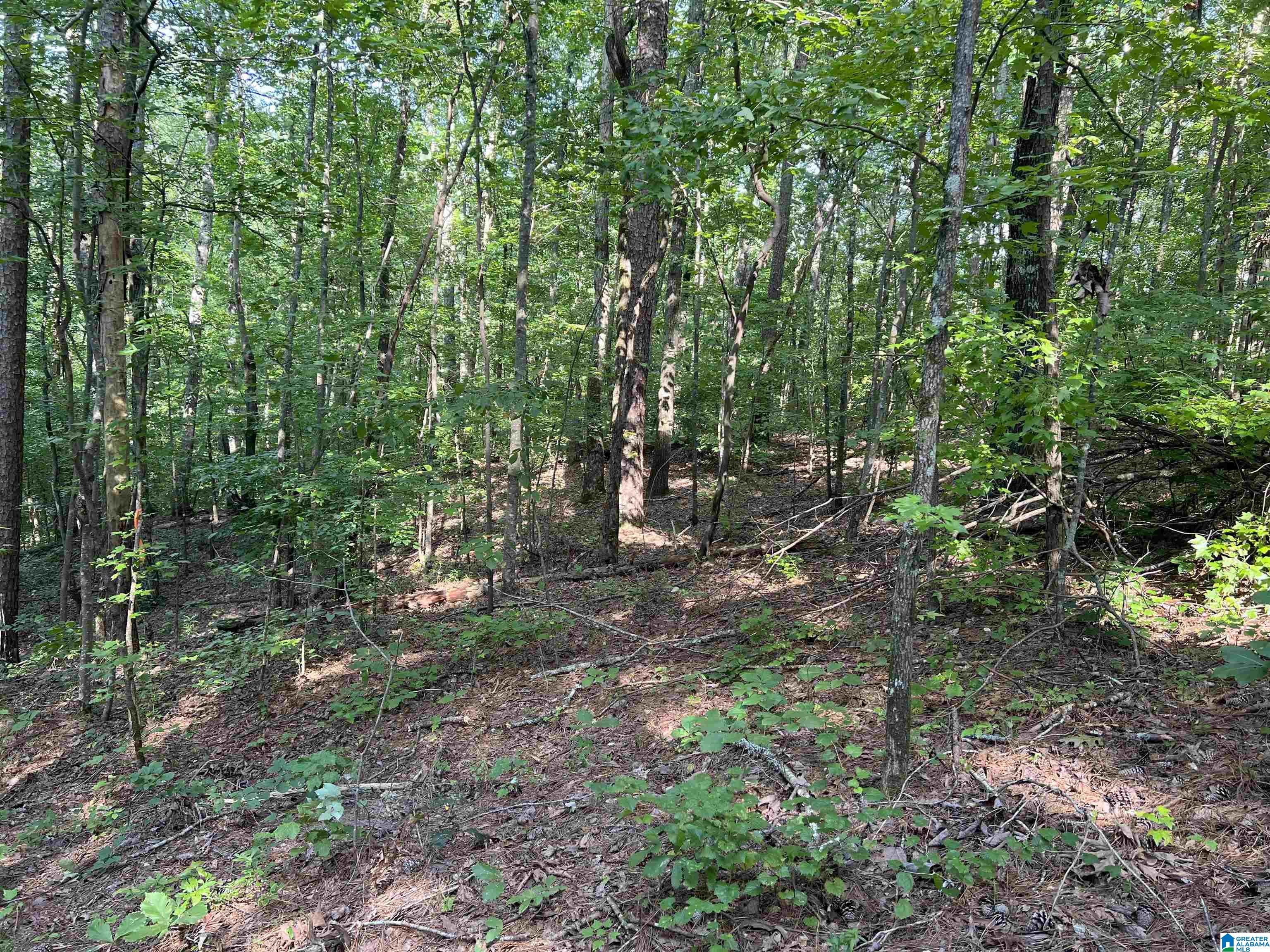 0 Sportsman Lake Road, Unit 1 Springville, AL 35146 - Photo 23 of 24