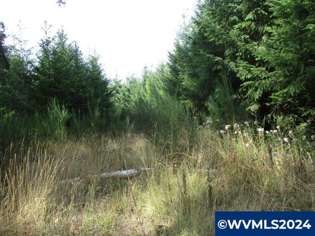 0 Northwest Crane (4) Road Yamhill, OR 97148 - Photo 5 of 12