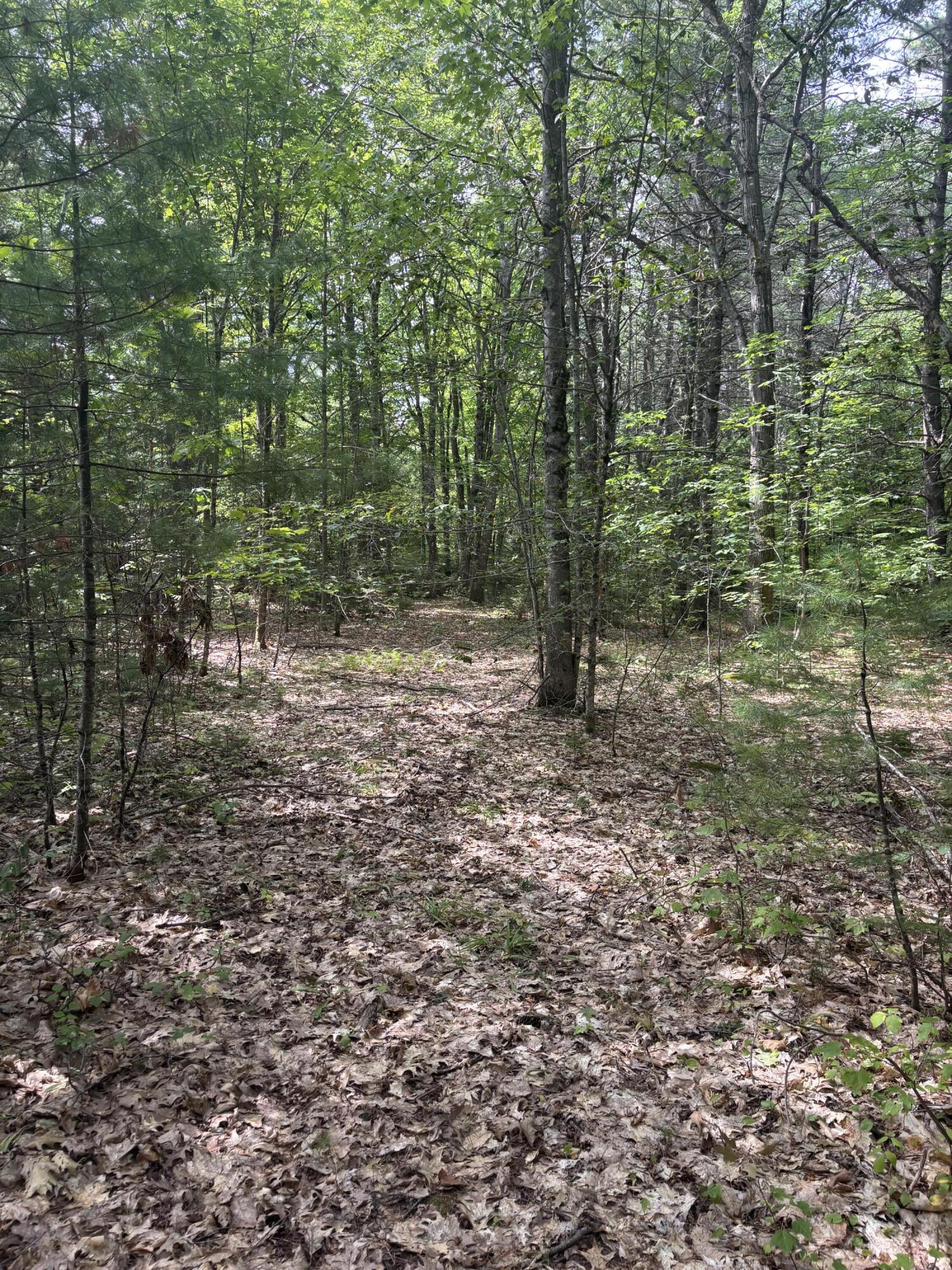 Lot 28 Troy Road Burnham, ME 04922 - Photo 10 of 11 IMG_8113