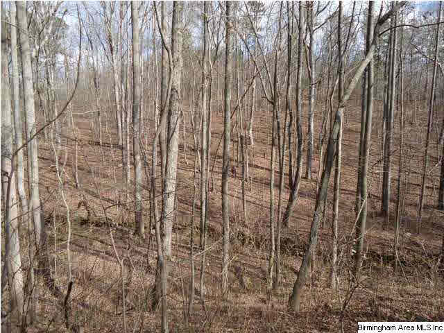 Loop Road Steele, AL 35987 - Photo 12 of 17