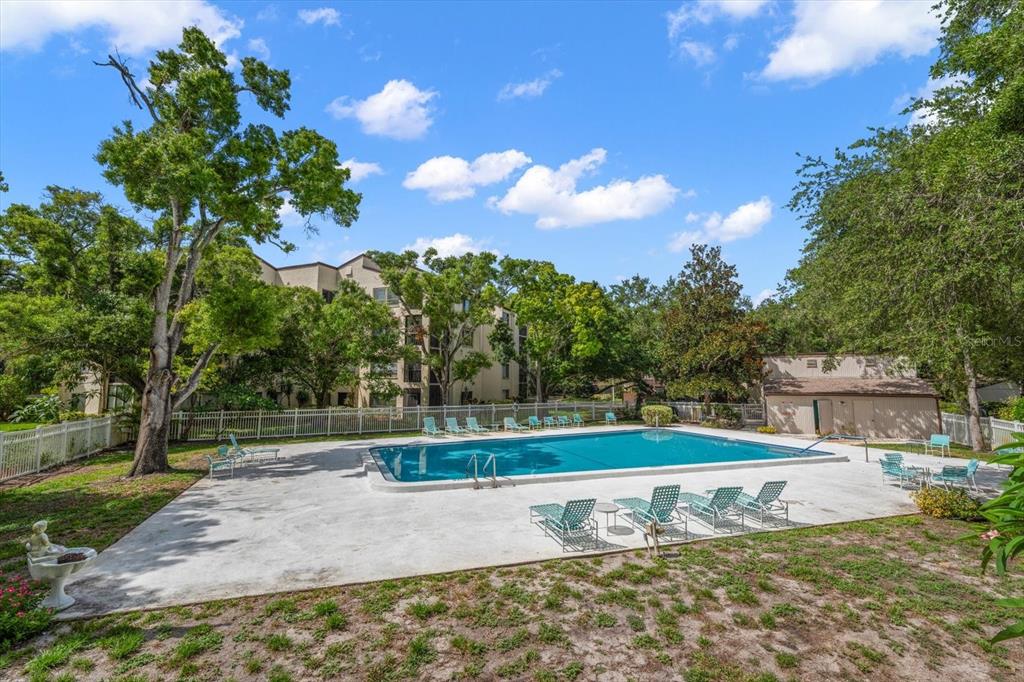 700 Starkey Road, Unit 624 Largo, FL 33771 - Photo 33 of 37 Gallery Image 33