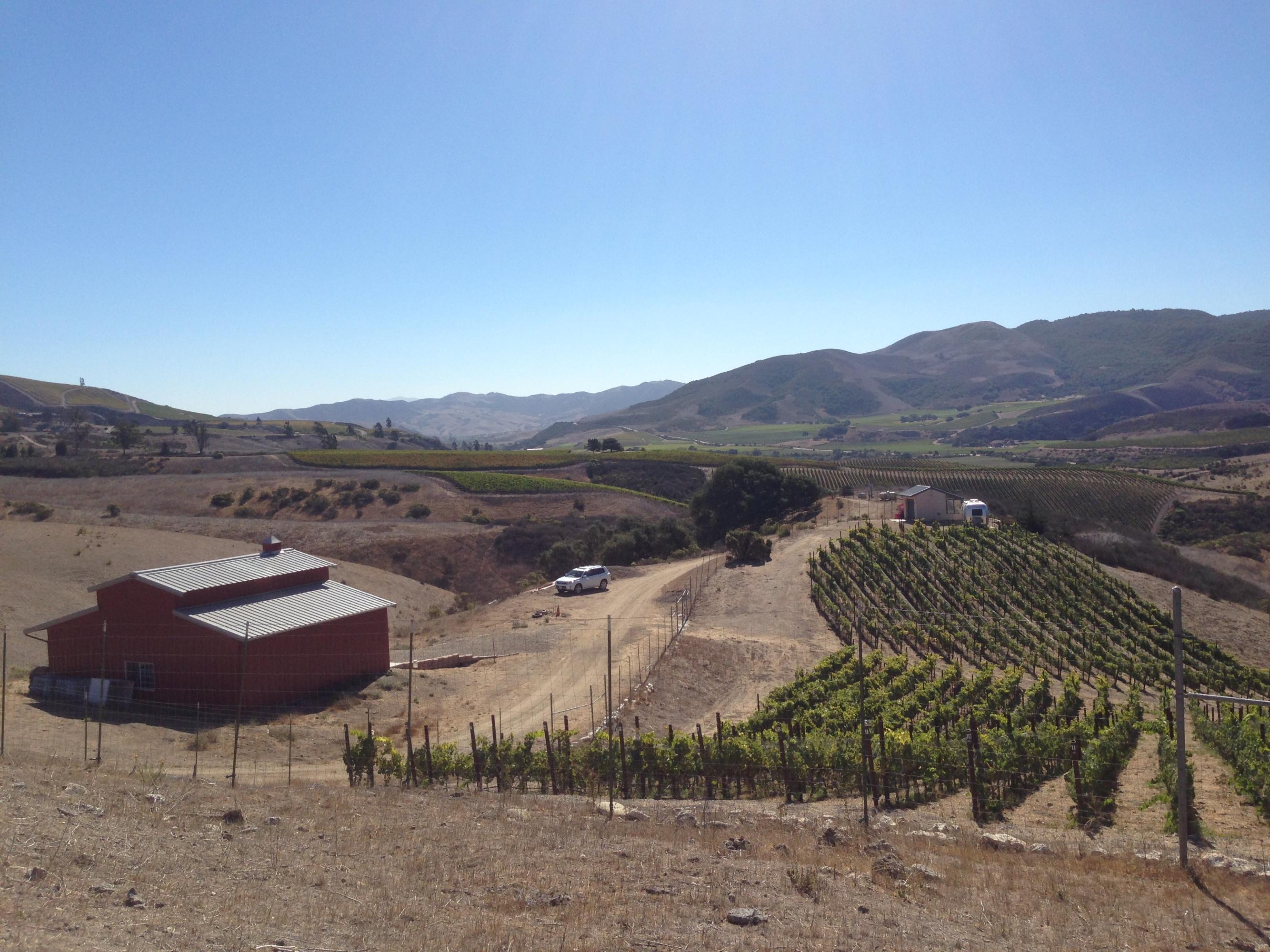 Lot #29 Sweeney Road Lompoc, CA 93436 - Photo 1 of 8 Sweeney Vineyard & Barn