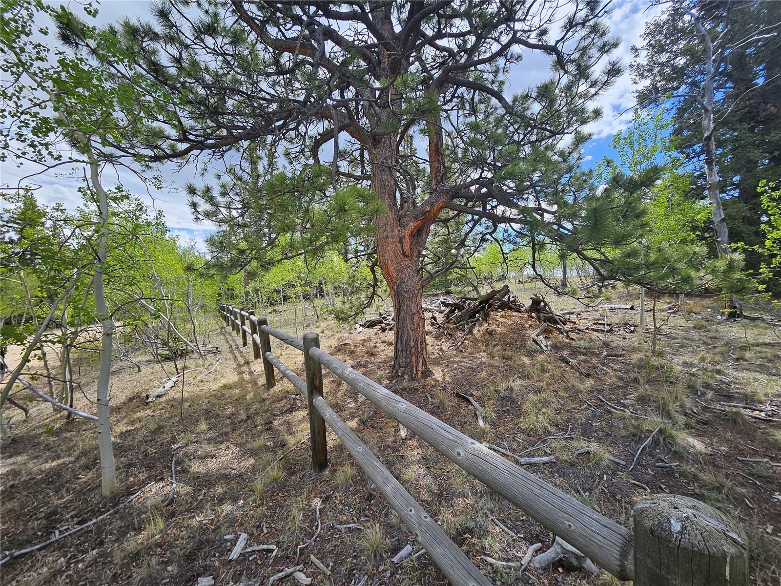 412 Smith And Wesson Road Como, CO 80432 - Photo 2 of 50