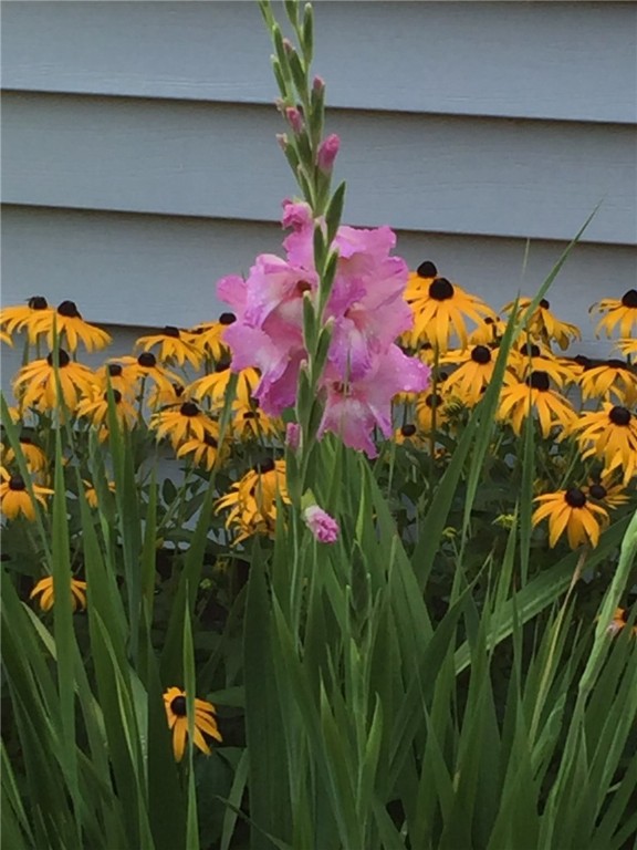 229 Birch Lane Webster, NY 14580 - Photo 48 of 49