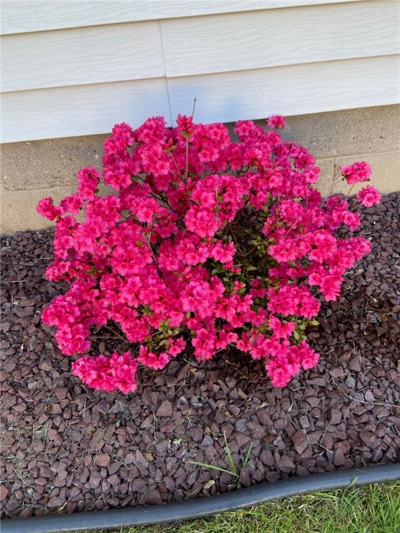 229 Birch Lane Webster, NY 14580 - Photo 49 of 49