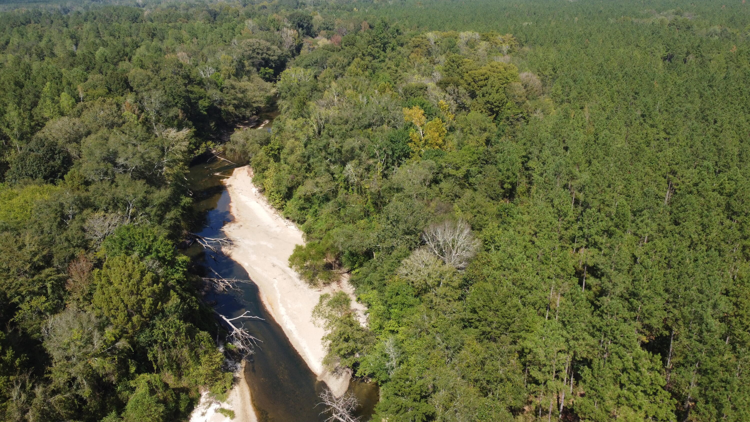 0 Hickory Grove Church Road Richton, MS 39476 - Photo 7 of 9 DJI_0485