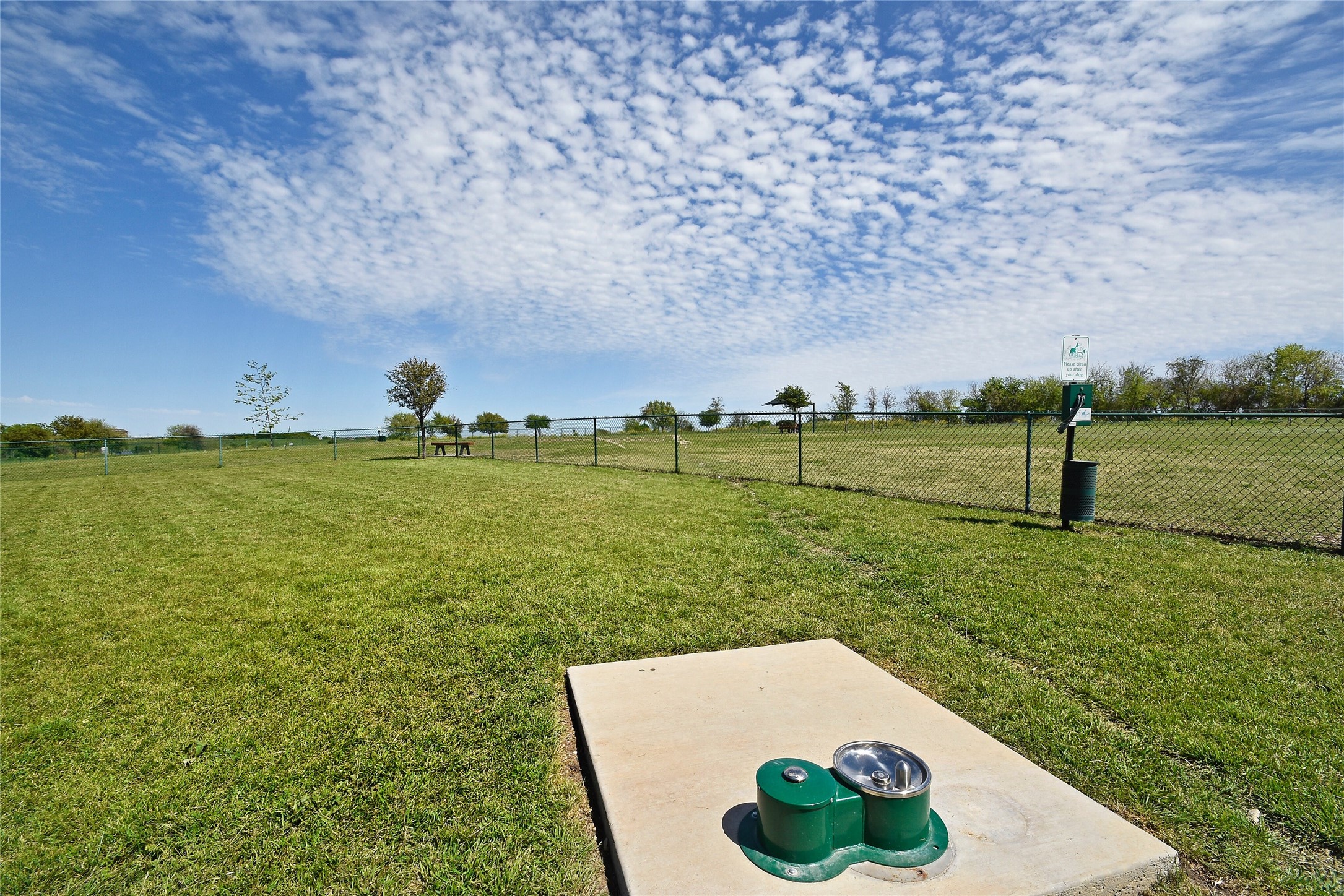 4584 Mather Kyle, TX 78640 - Photo 35 of 40 Dog Park