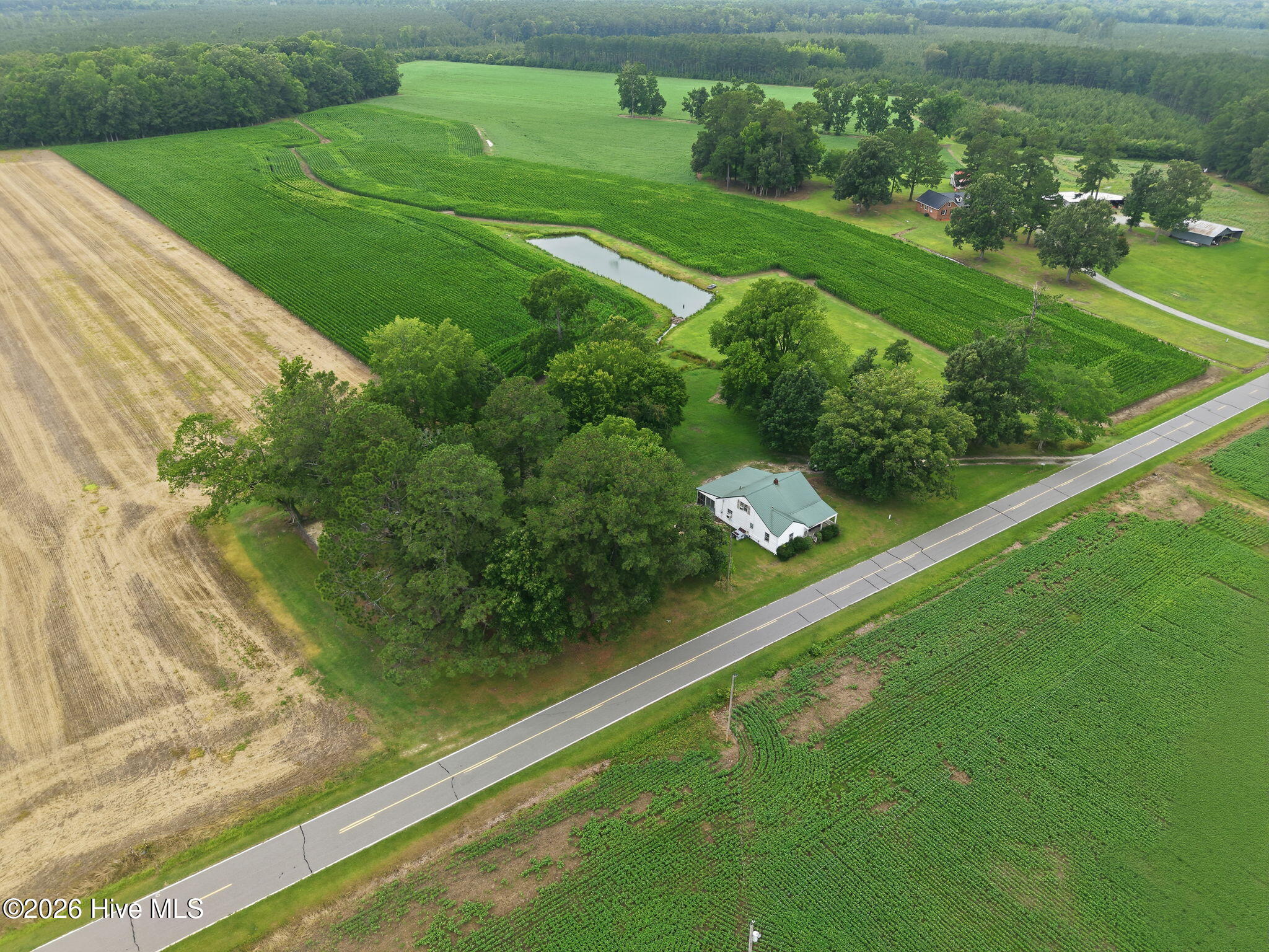 216 Karo White Road Windsor, NC 27983 - Photo 46 of 49