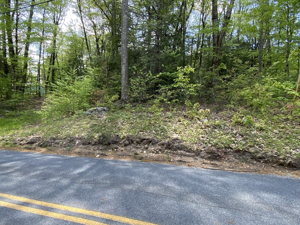 0 Montgomery Road Southampton, MA 01073 - Photo 2 of 6 Gallery Image 2