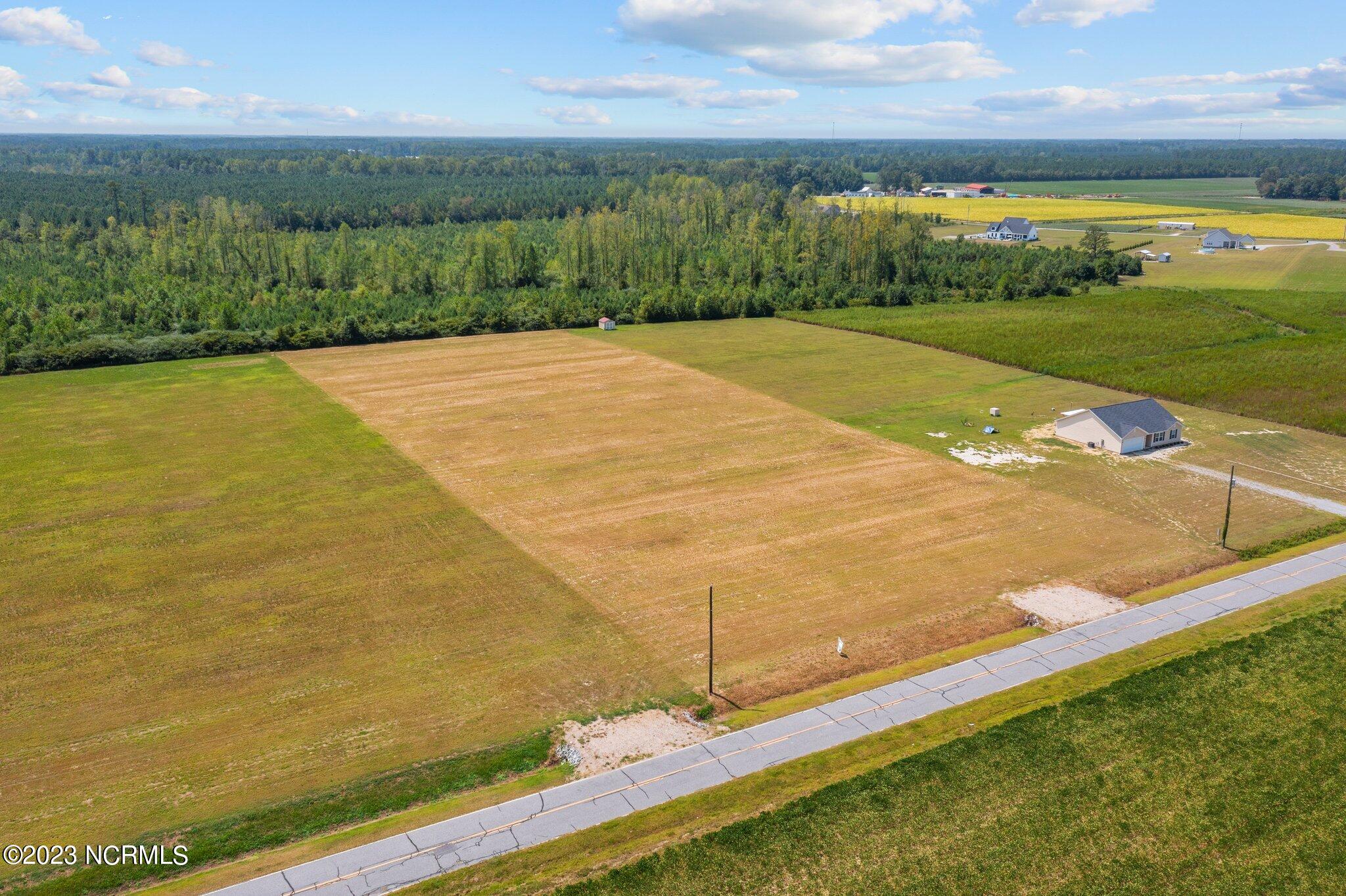 3572 Lloyd Corey Road Robersonville, NC 27871 - Photo 4 of 11 4-web-or-mls-DJI_0187