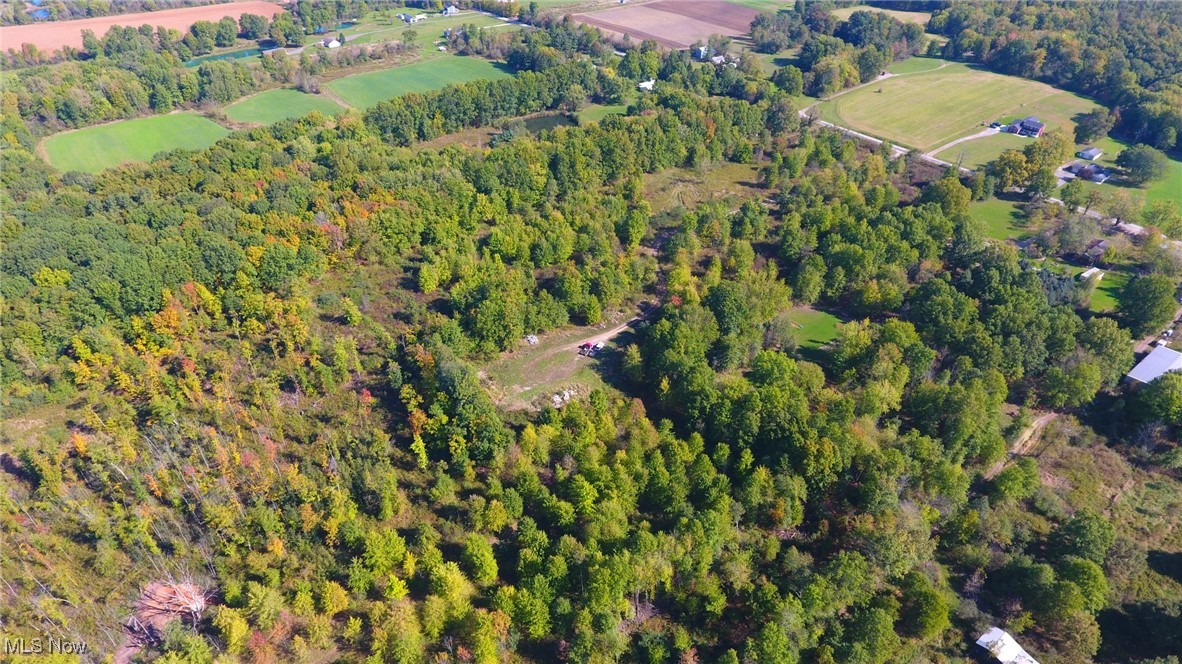 V/l Nichols Road Windham, OH 44288 - Photo 10 of 15 Gallery Image 10
