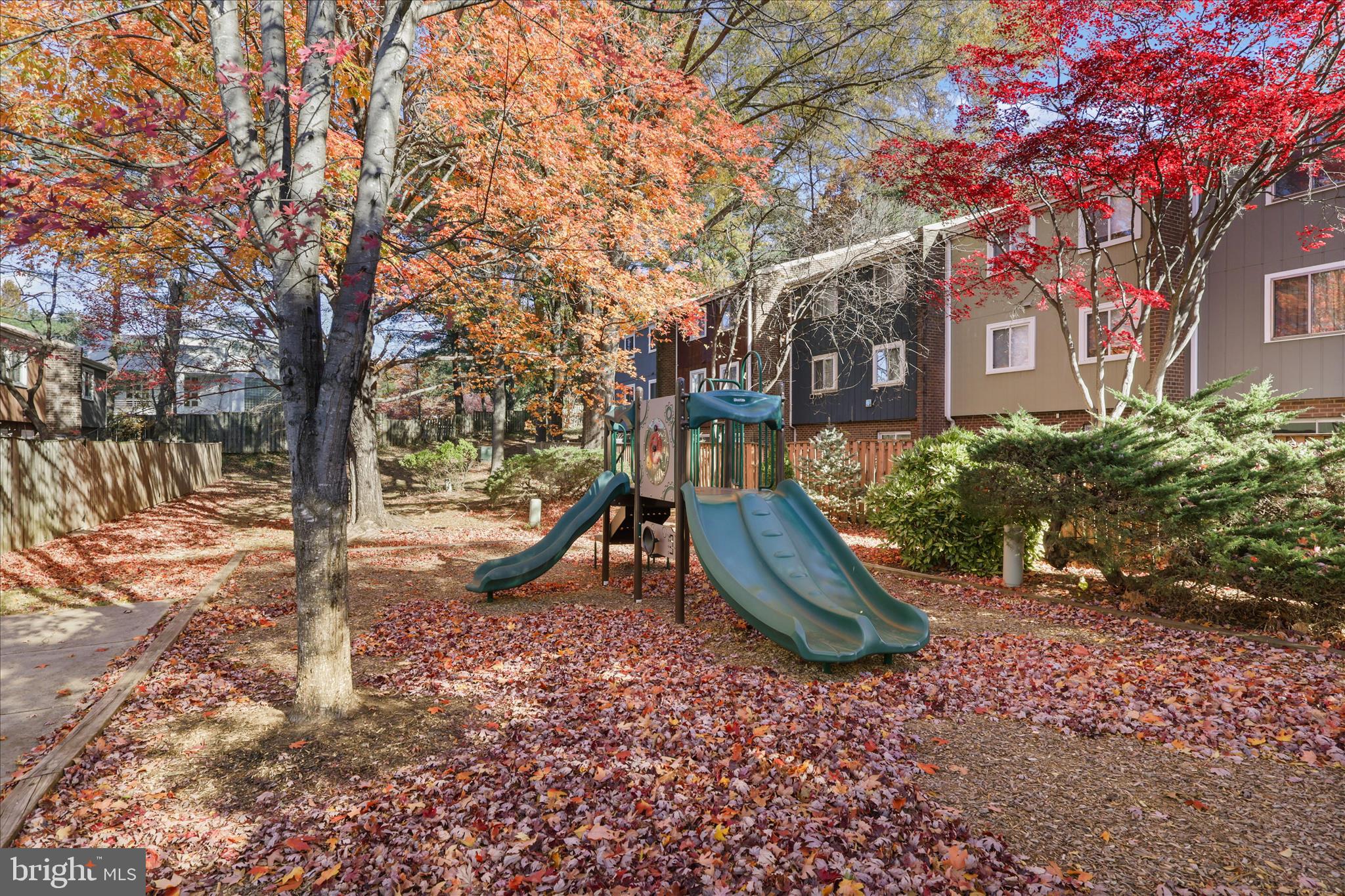 11152 Forest Edge Drive Reston, VA 20190 - Photo 40 of 57 a view of a park with a tree
