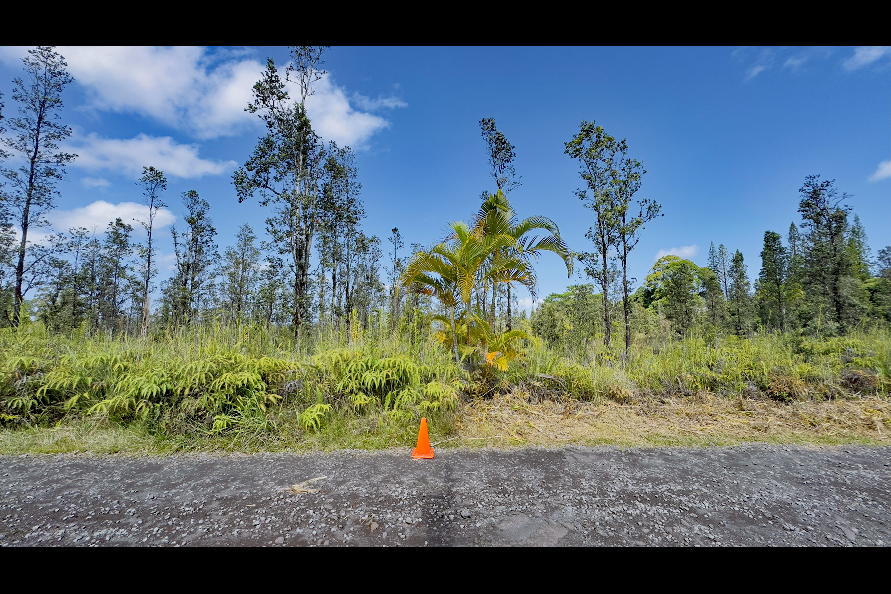 2444 Uhini Ana Road Mountain View, HI 96771 - Photo 6 of 27 a view of a garden