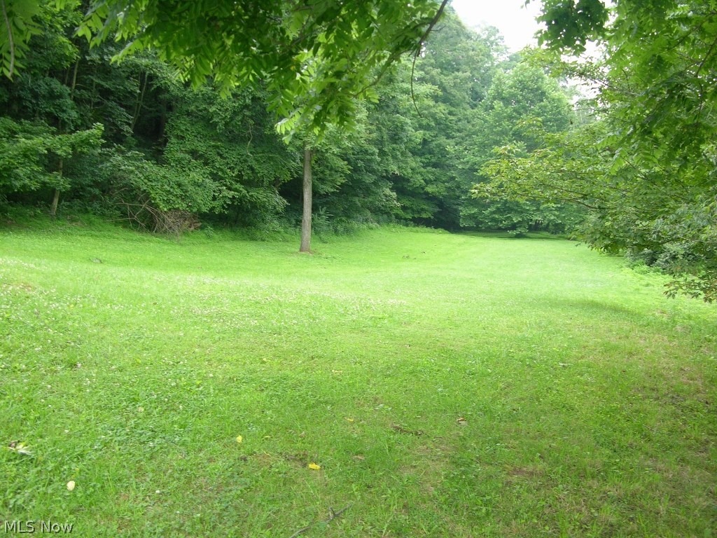 2788 Friendly Hill Road Friendly, WV 26146 - Photo 3 of 13 Wonderful Side Lawn