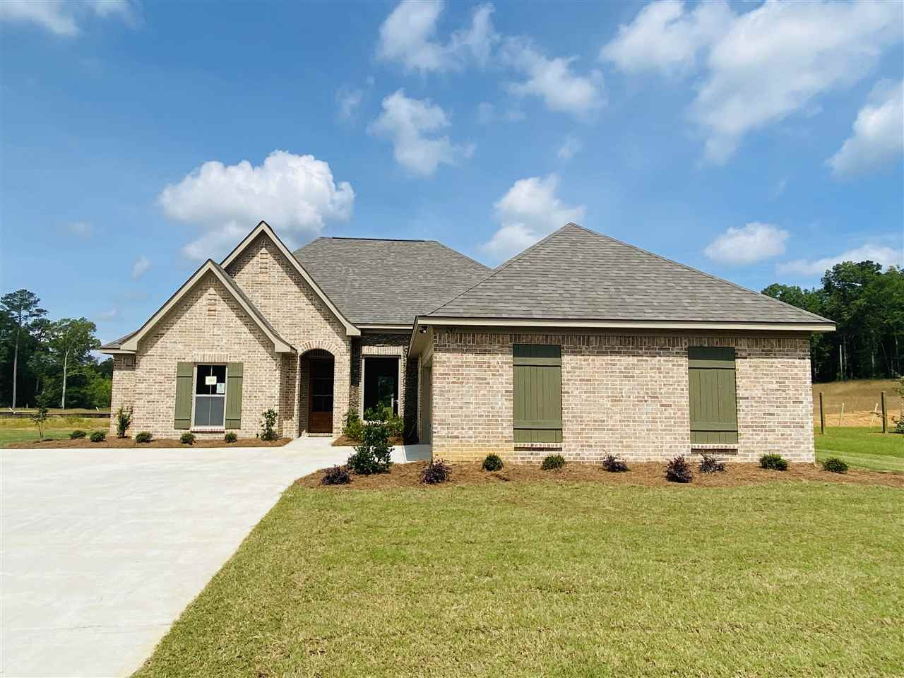 247 Terrapin Creek Road Brandon, MS 39042 - Photo 29 of 33 Photo 29