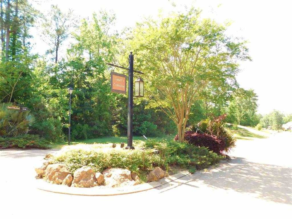 247 Terrapin Creek Road Brandon, MS 39042 - Photo 30 of 33 Photo 30