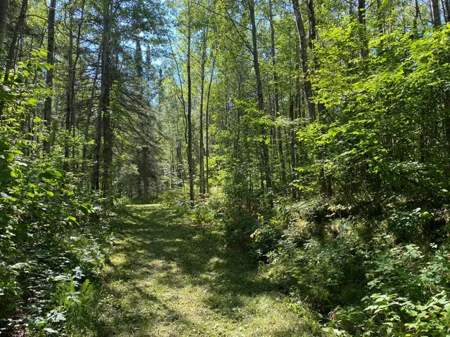 $49,900 | Tbd Buck Drive, Bovey, MN 55709