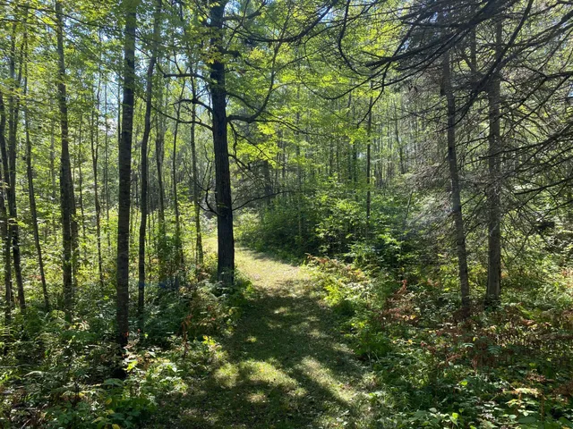 $49,900 | Tbd Buck Drive, Bovey, MN 55709