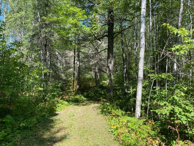 $49,900 | Tbd Buck Drive, Bovey, MN 55709