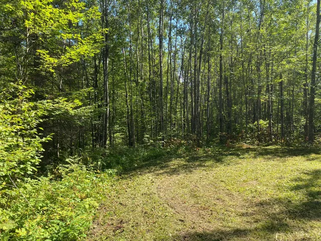 $49,900 | Tbd Buck Drive, Bovey, MN 55709