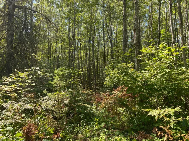 $49,900 | Tbd Buck Drive, Bovey, MN 55709