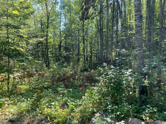 $49,900 | Tbd Buck Drive, Bovey, MN 55709