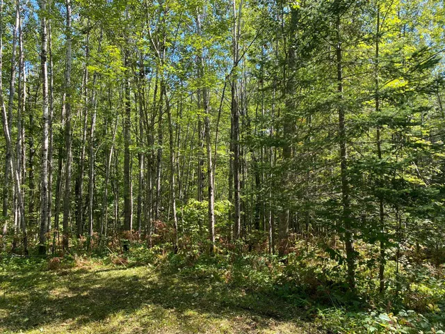 $49,900 | Tbd Buck Drive, Bovey, MN 55709