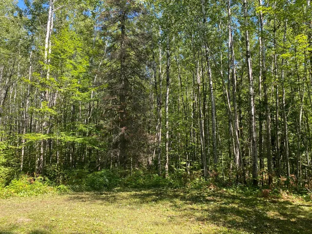 $49,900 | Tbd Buck Drive, Bovey, MN 55709